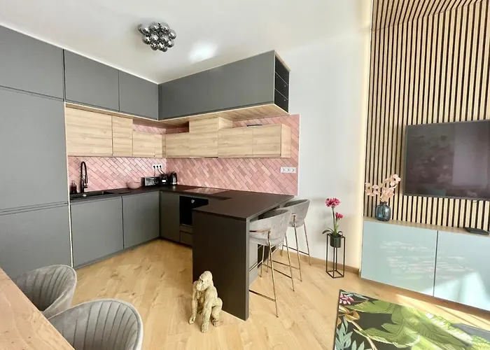 Apartament Hollan I 3bdr I 2bathr I Freeparking *